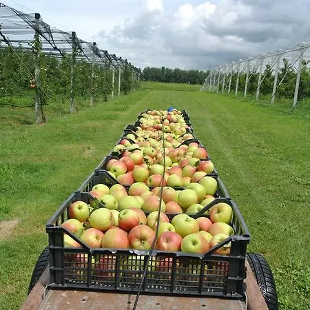 Sartori Terenzio Farm stay